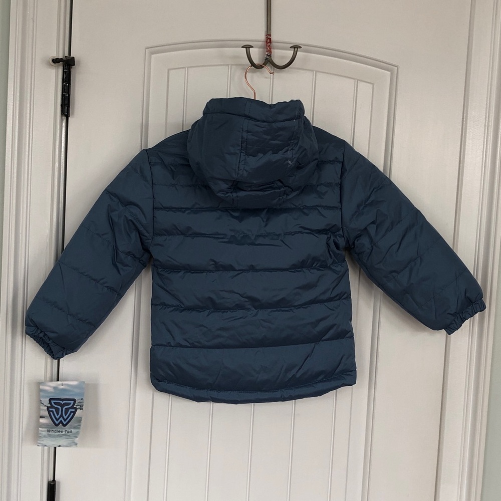 Whales Tail Performance Wear Brand New (Boys) Multiple Colors & Sizes! - Picture 9 of 12